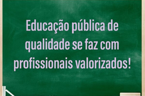  As educadoras, os educadores e a (des) valorização profissional no Município de Porto Velho